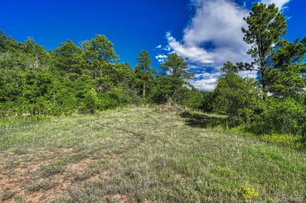 00 Columbine Road Larkspur CO 80118