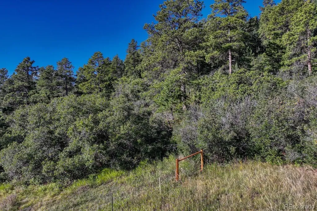 00 Columbine Road Larkspur CO 80118