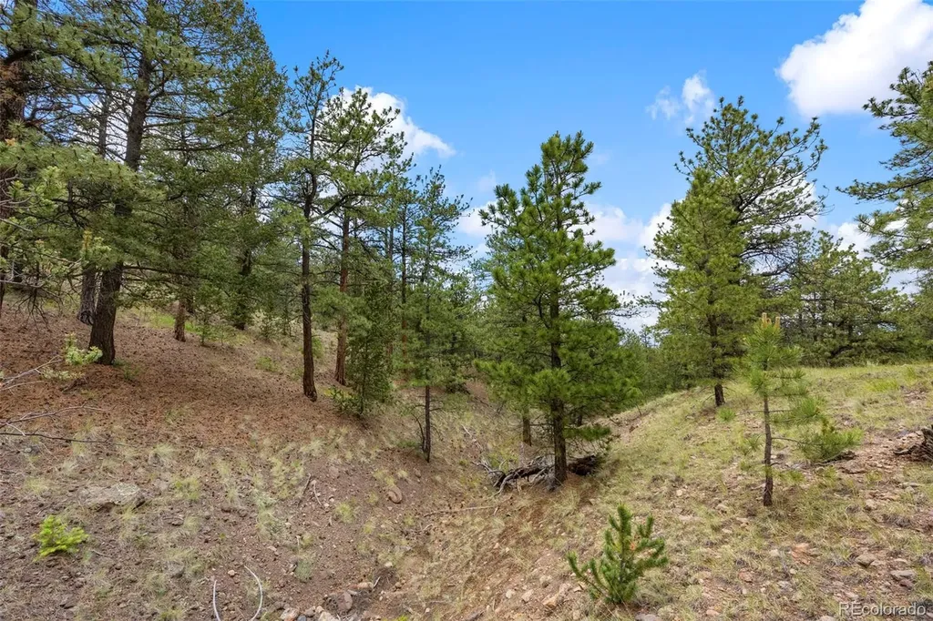 163 Keechi Road Hartsel CO 80449