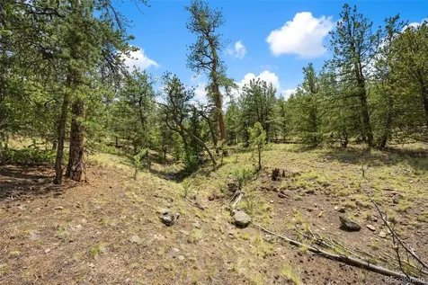 163 Keechi Road Hartsel CO 80449