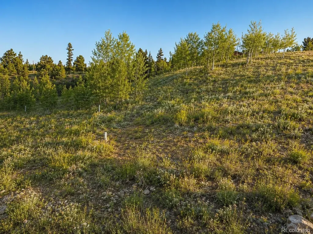445 Warpath Road Como CO 80432