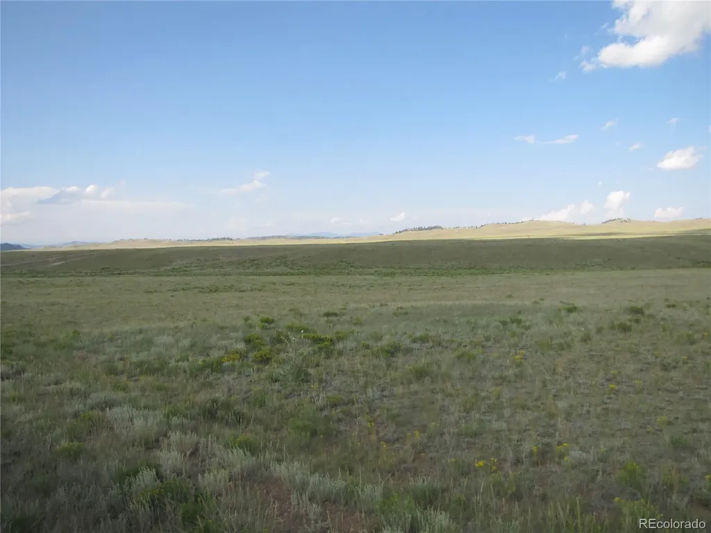 1429D Anadarko Road Hartsel CO 80449