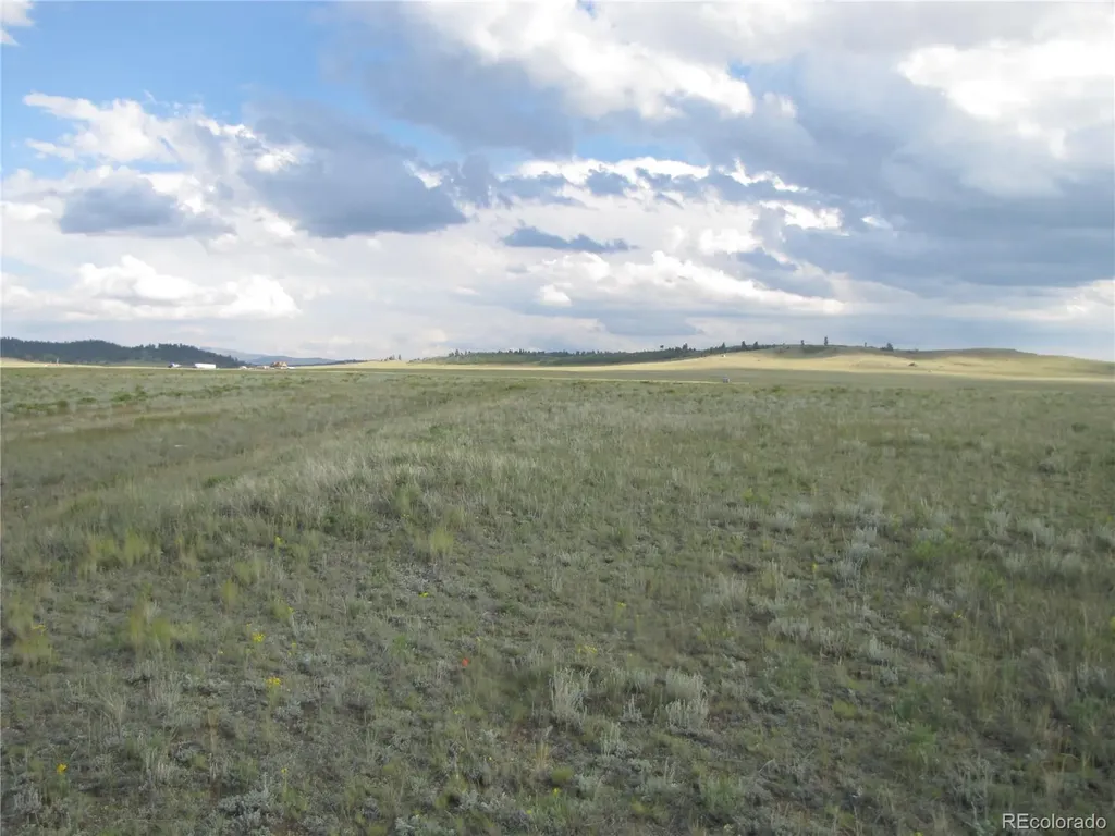 1429D Anadarko Road Hartsel CO 80449