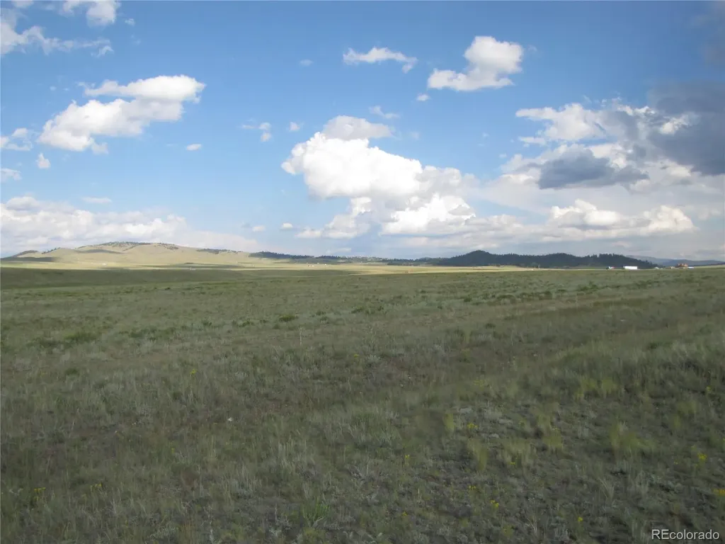 1429D Anadarko Road Hartsel CO 80449