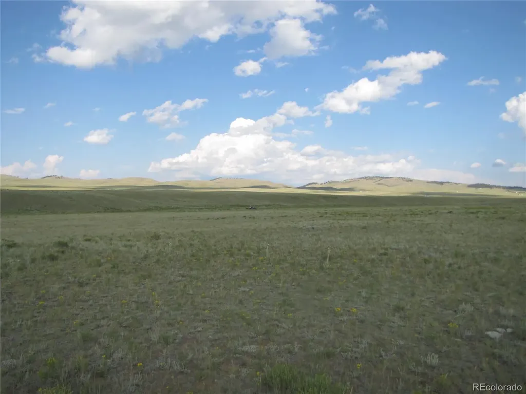 1429D Anadarko Road Hartsel CO 80449
