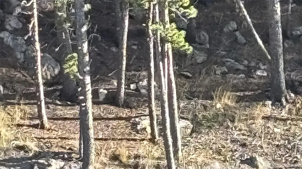 1 Miners Road Black Hawk CO 80422