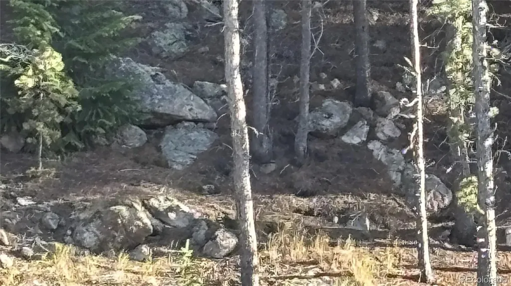 1 Miners Road Black Hawk CO 80422