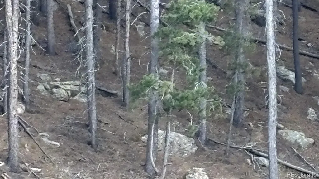 1 Miners Road Black Hawk CO 80422