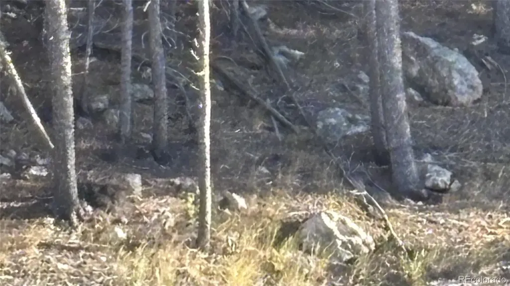 1 Miners Road Black Hawk CO 80422