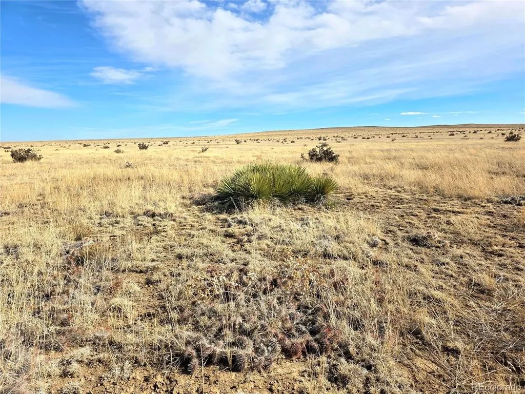 Tbd County Road 103 Walsenburg CO 81089