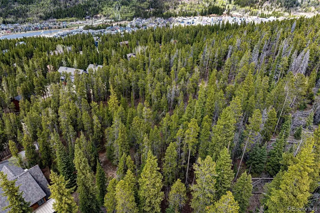 486 Moonstone Road Breckenridge CO 80424