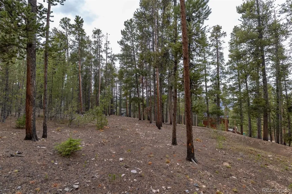 486 Moonstone Road Breckenridge CO 80424