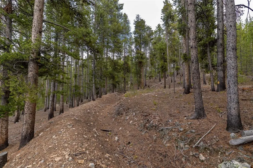 486 Moonstone Road Breckenridge CO 80424