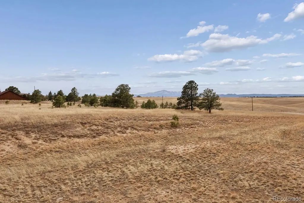 6905 Alpaca Heights Colorado Springs CO 80908