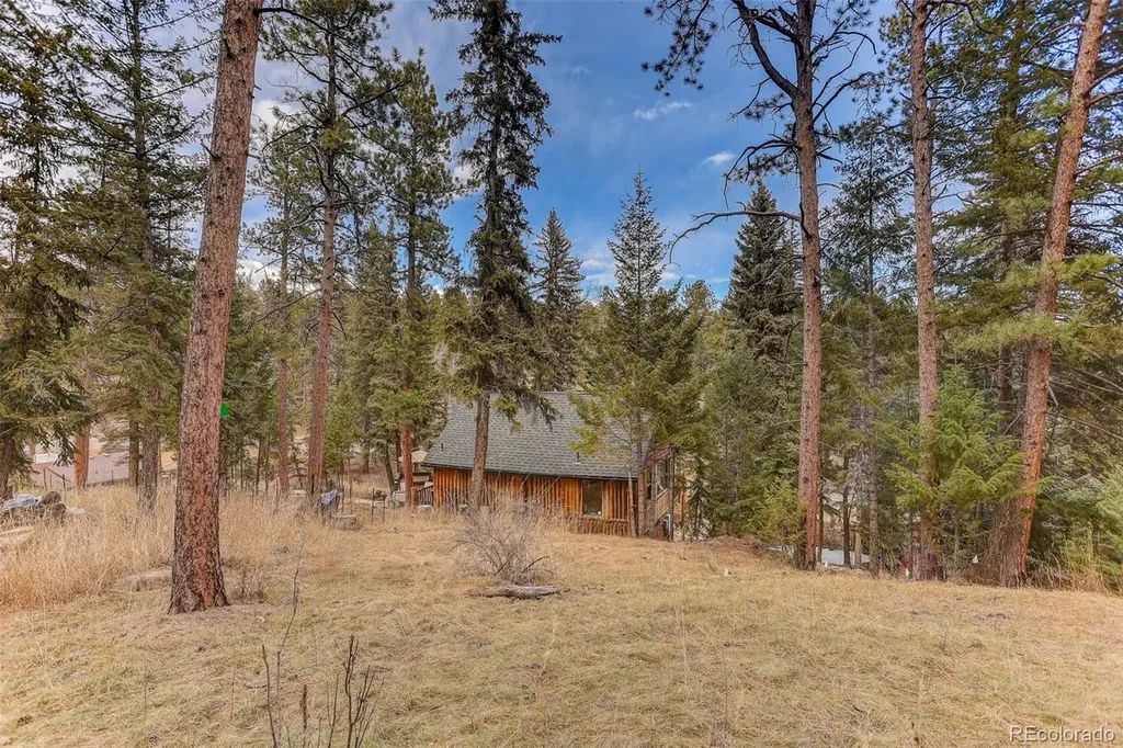 24844 N Turkey Creek Road Evergreen CO 80439