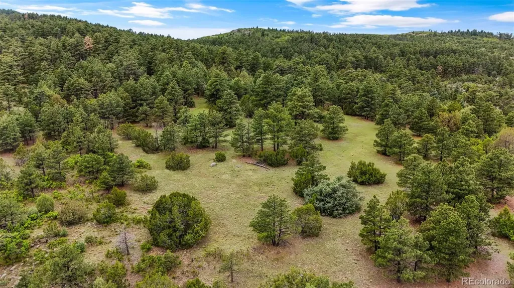8716 National Forest Drive Beulah CO 81023