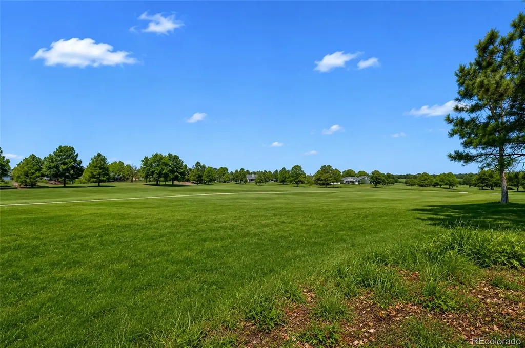 15 Tamerlain Court Littleton CO 80130