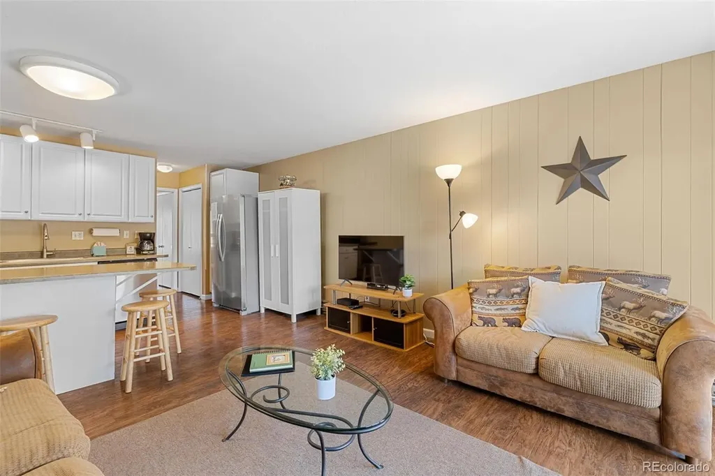 1513 E Keystone Road Dillon CO 80435