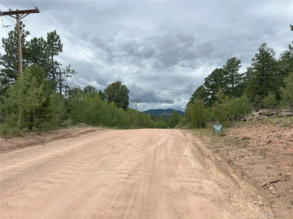 155 County Road 403 Florissant CO 80816
