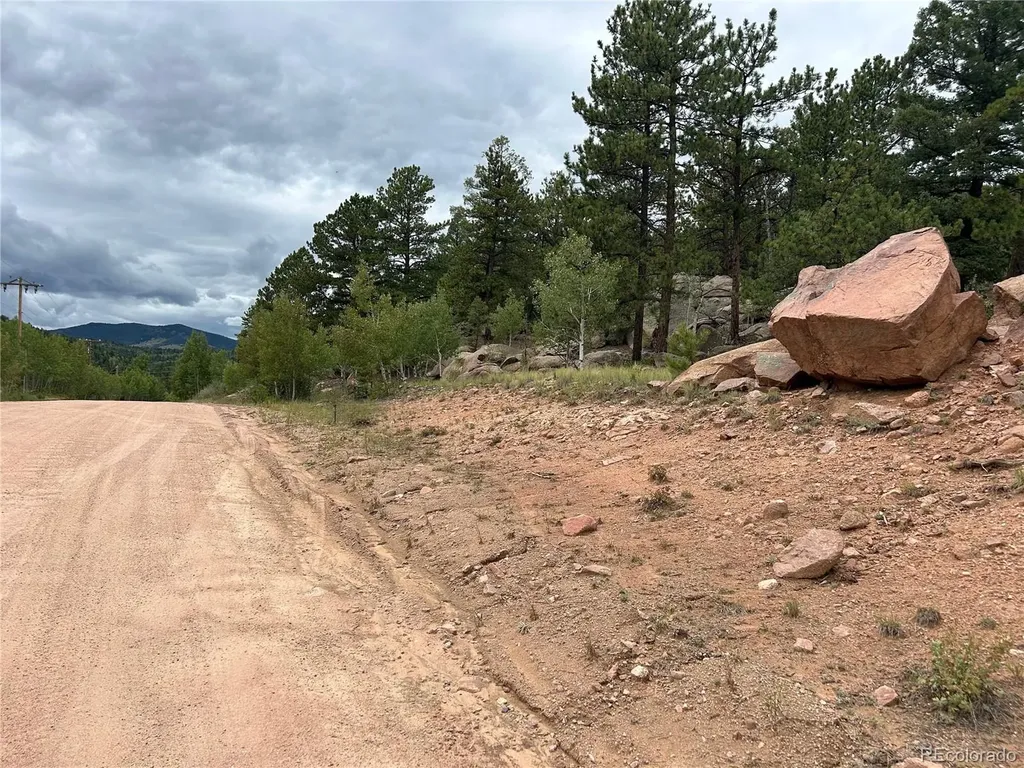 155 County Road 403 Florissant CO 80816