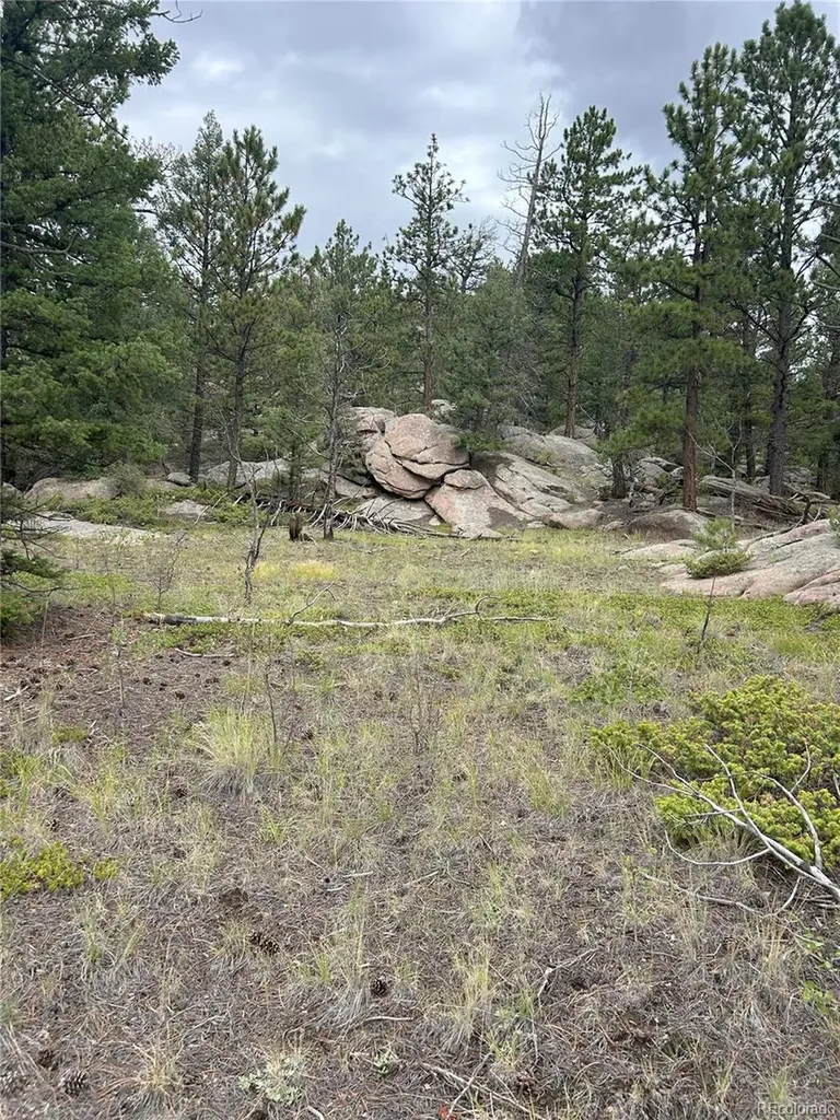 155 County Road 403 Florissant CO 80816