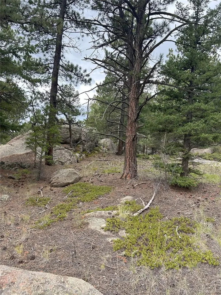 155 County Road 403 Florissant CO 80816