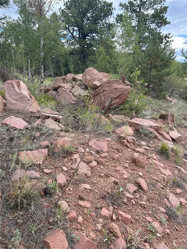 155 County Road 403 Florissant CO 80816