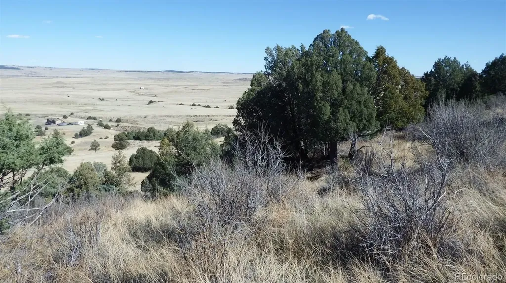 35584 Comanche Creek Road Kiowa CO 80117