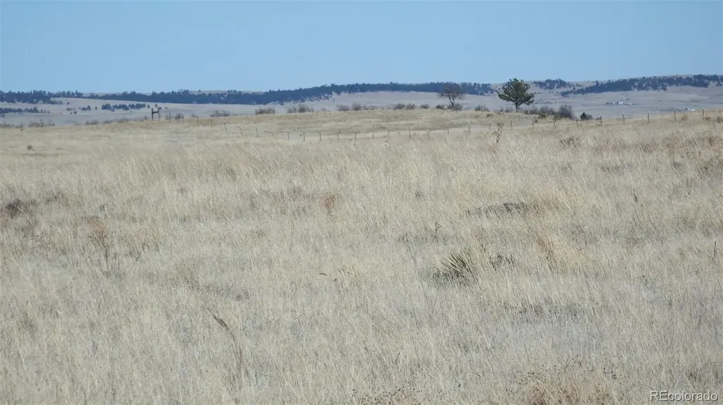 35584 Comanche Creek Road Kiowa CO 80117