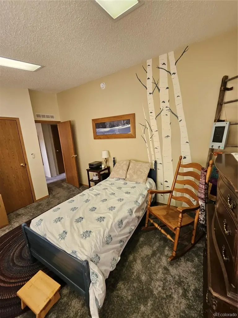 462 Bonell Drive Fairplay CO 80440