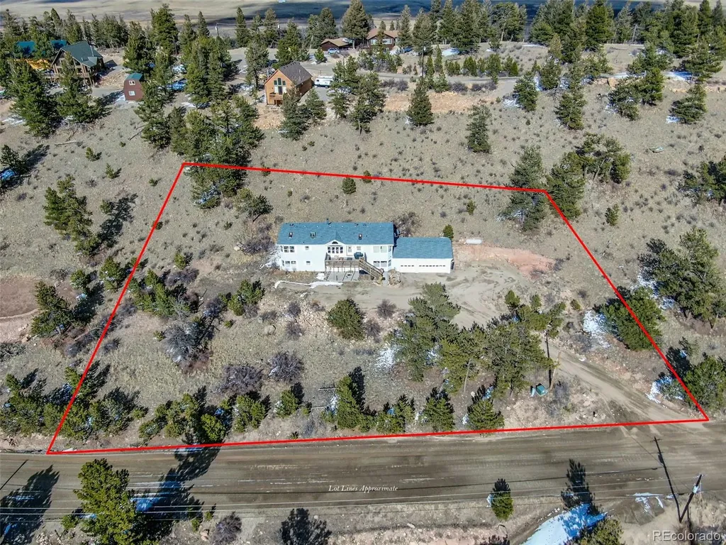 462 Bonell Drive Fairplay CO 80440