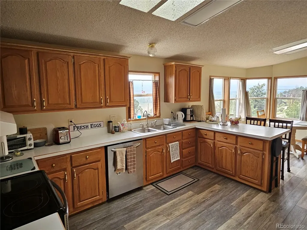 462 Bonell Drive Fairplay CO 80440