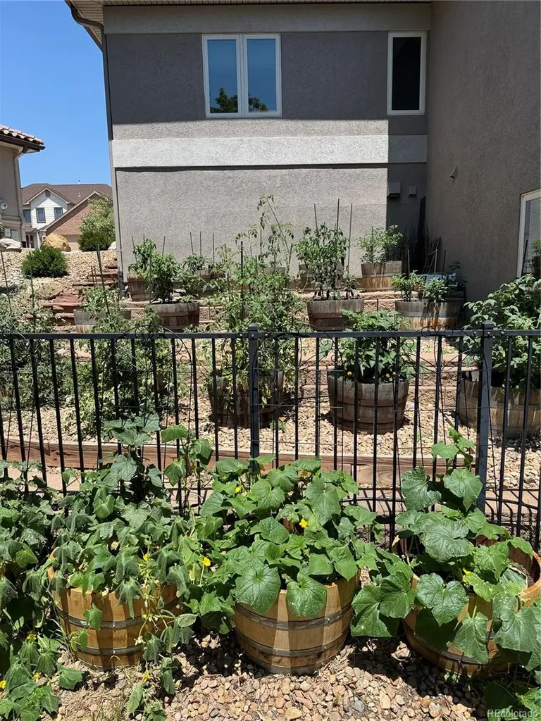 14517 W 57th Place Arvada CO 80002
