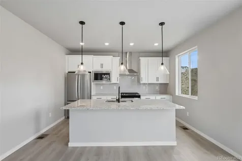 13373 Finnhorse Street Parker CO 80134