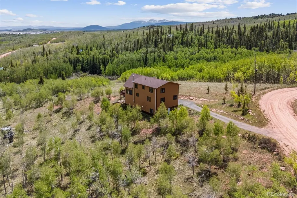 566 Palmer Peak Drive Fairplay CO 80440