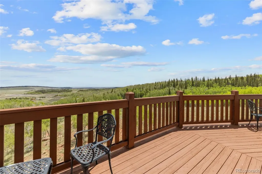 566 Palmer Peak Drive Fairplay CO 80440