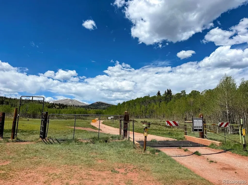 566 Palmer Peak Drive Fairplay CO 80440