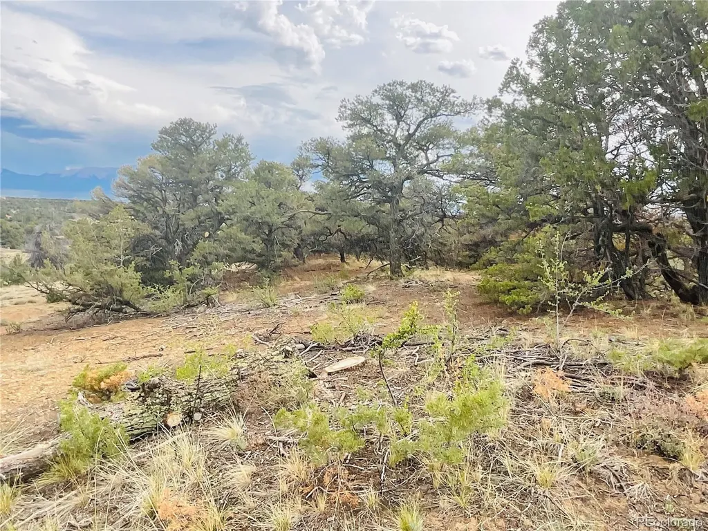 Lot 17 Phase 3 Navajo Ranch Resort Walsenburg CO 81089