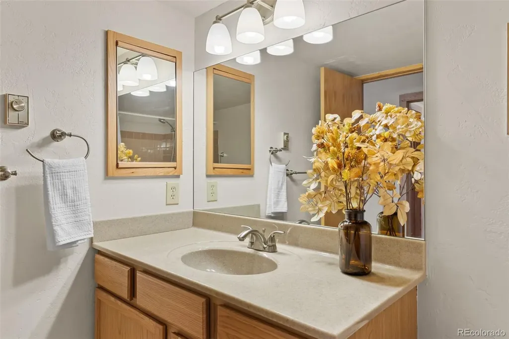 4626 Ryan Gulch Road Silverthorne CO 80498
