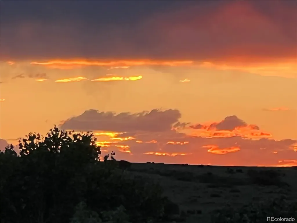 5692 Vistancia Drive Parker CO 80134