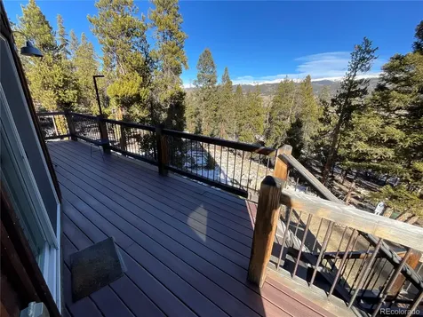 451 Ee Hill Drive Twin Lakes CO 81251