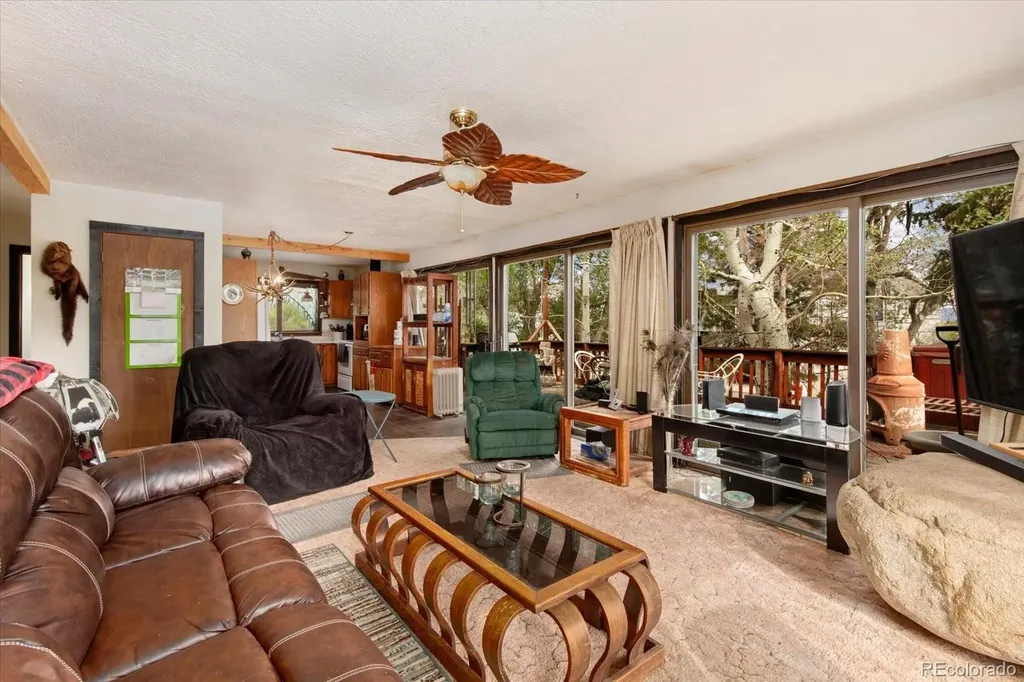 519 Cedar Street Buena Vista CO 81211