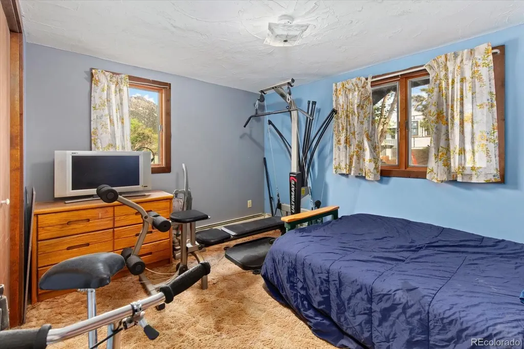 519 Cedar Street Buena Vista CO 81211