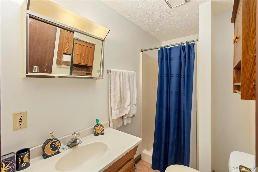 519 Cedar Street Buena Vista CO 81211
