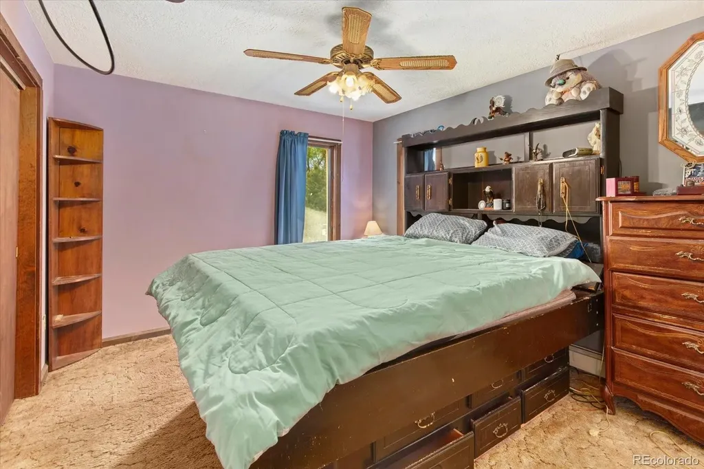 519 Cedar Street Buena Vista CO 81211