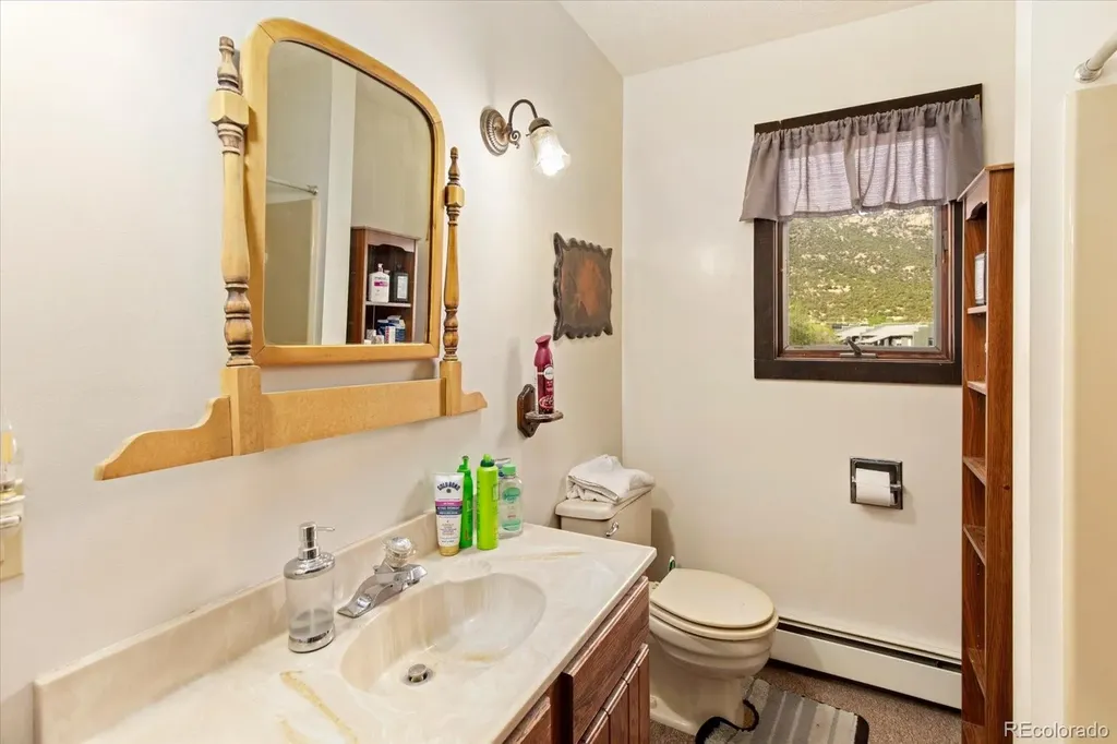 519 Cedar Street Buena Vista CO 81211