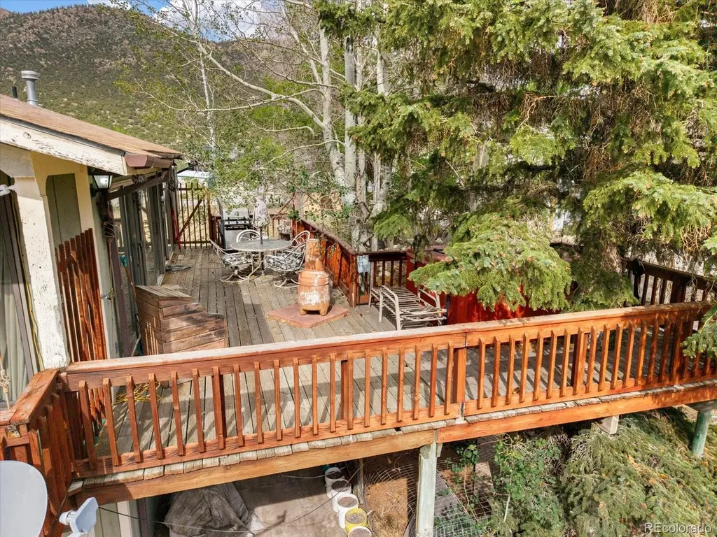 519 Cedar Street Buena Vista CO 81211