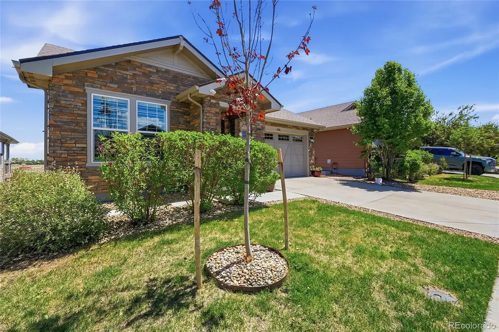 15674 Elizabeth Street Thornton CO 80602