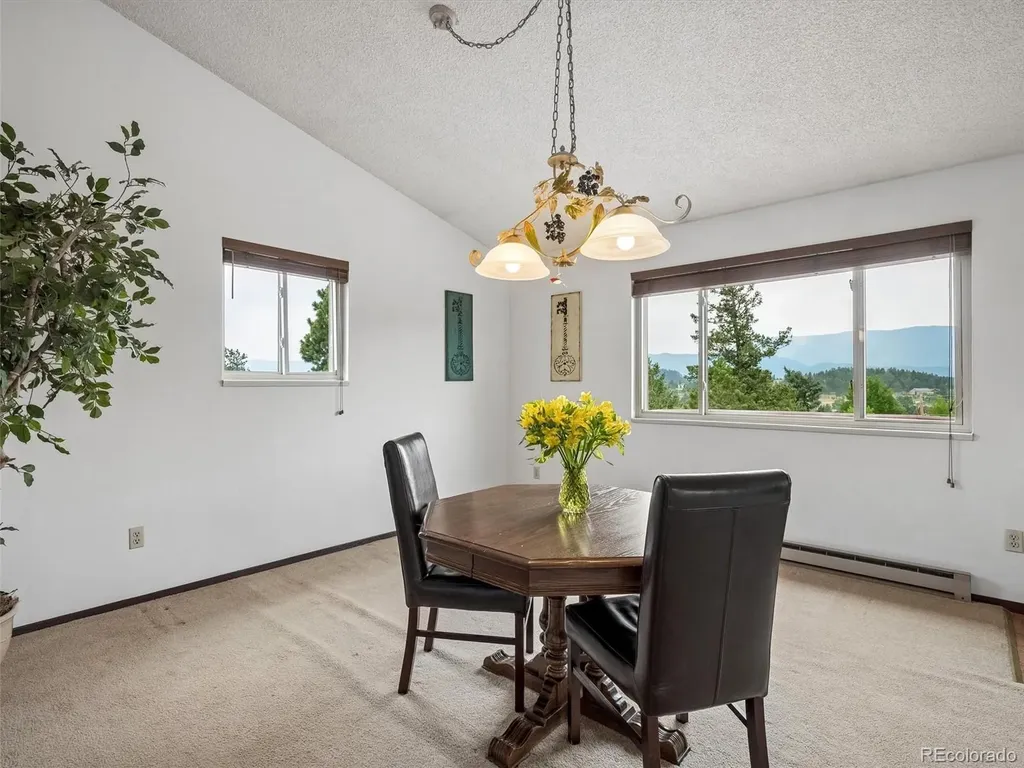 55 Deer Trail Drive Bailey CO 80421