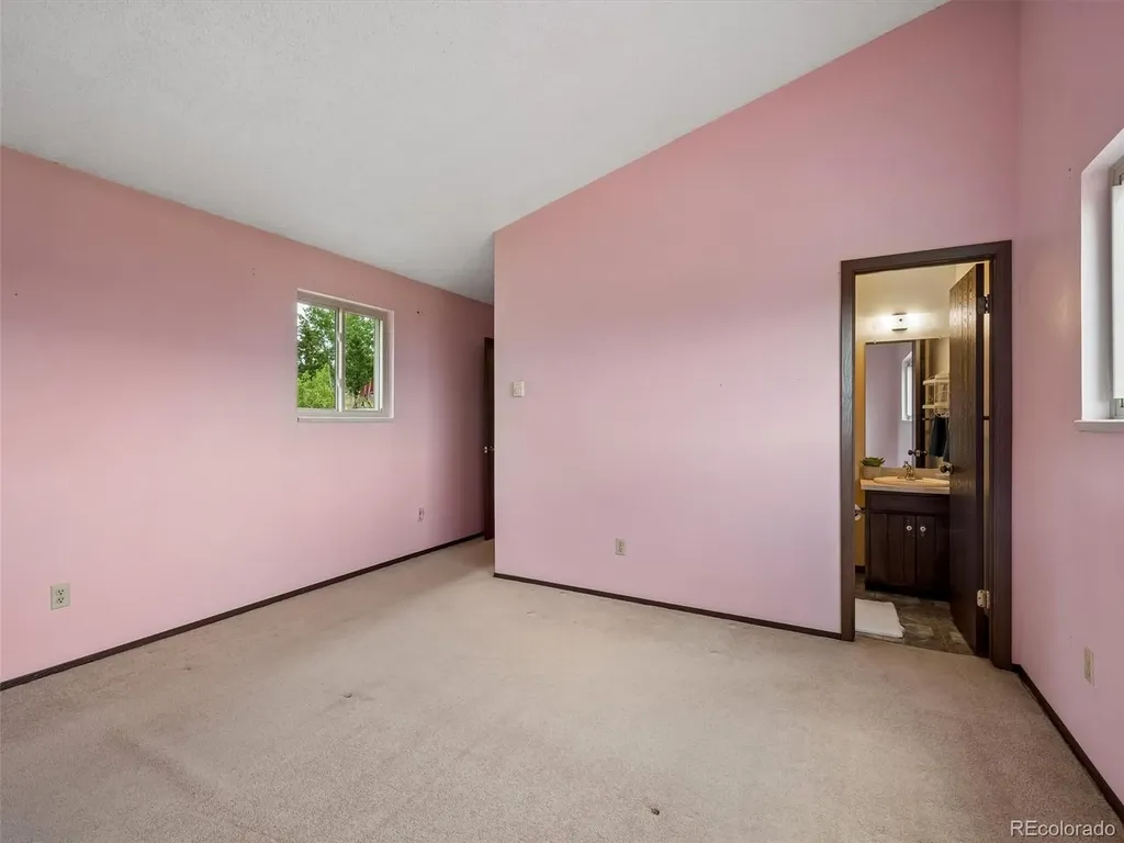 55 Deer Trail Drive Bailey CO 80421